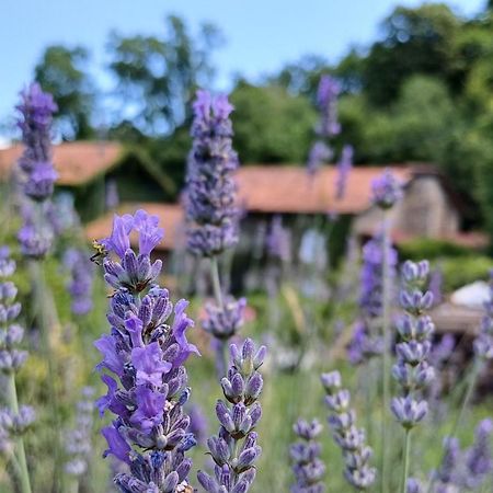La Stanza Del Bosco Apartman Arcumeggia Kültér fotó