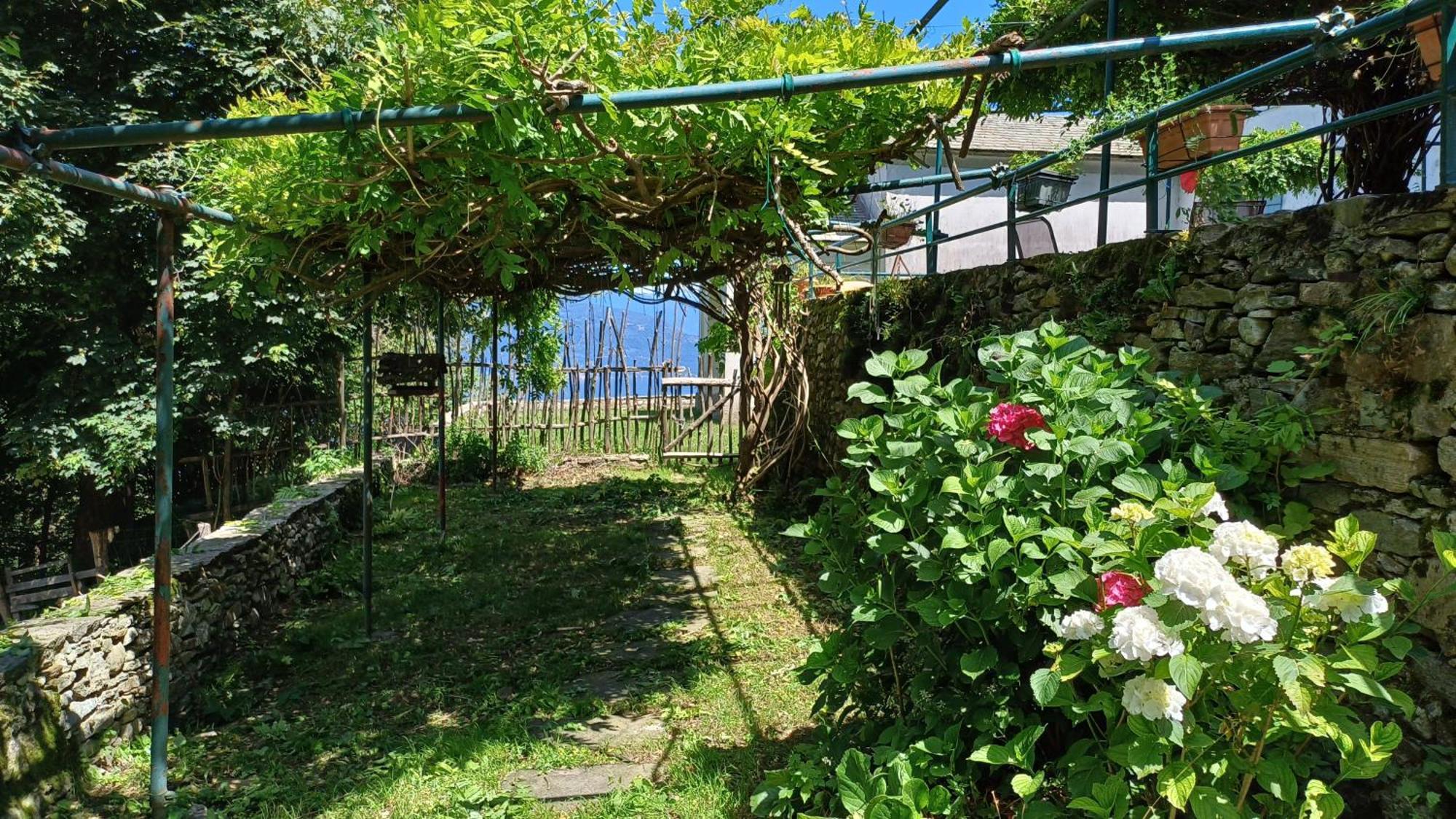 La Stanza Del Bosco Apartman Arcumeggia Kültér fotó